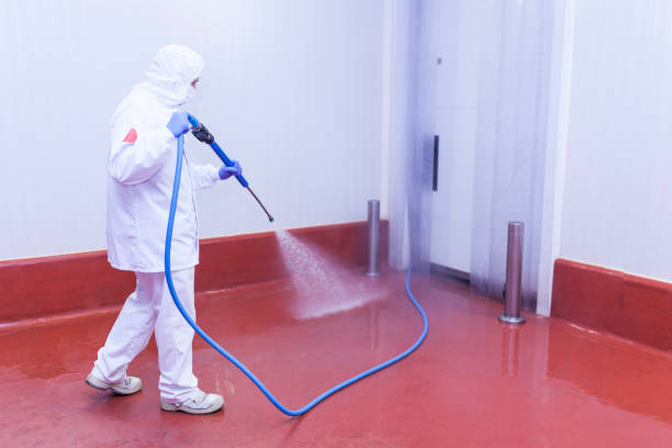 Best Dumpster Area Cleaning  in Silver Lake, NJ