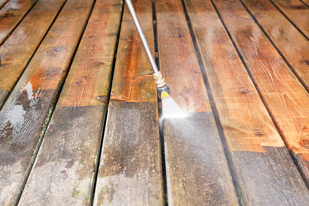 Best Animal Enclosure Cleaning  in Silver Lake, NJ